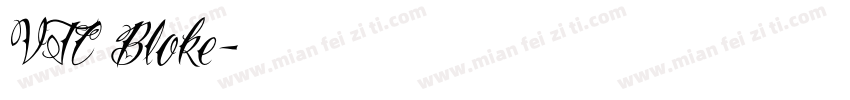 VTC Bloke字体转换